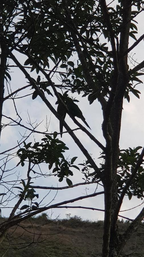 Vale Das Maritacas Teresopolis别墅 外观 照片