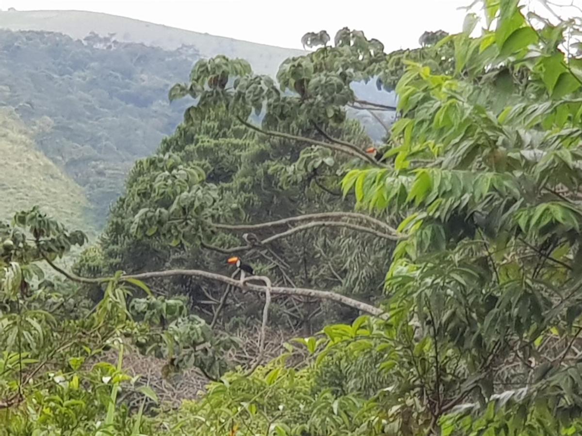 Vale Das Maritacas Teresopolis别墅 外观 照片