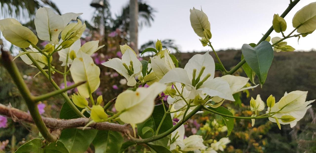 Vale Das Maritacas Teresopolis别墅 外观 照片