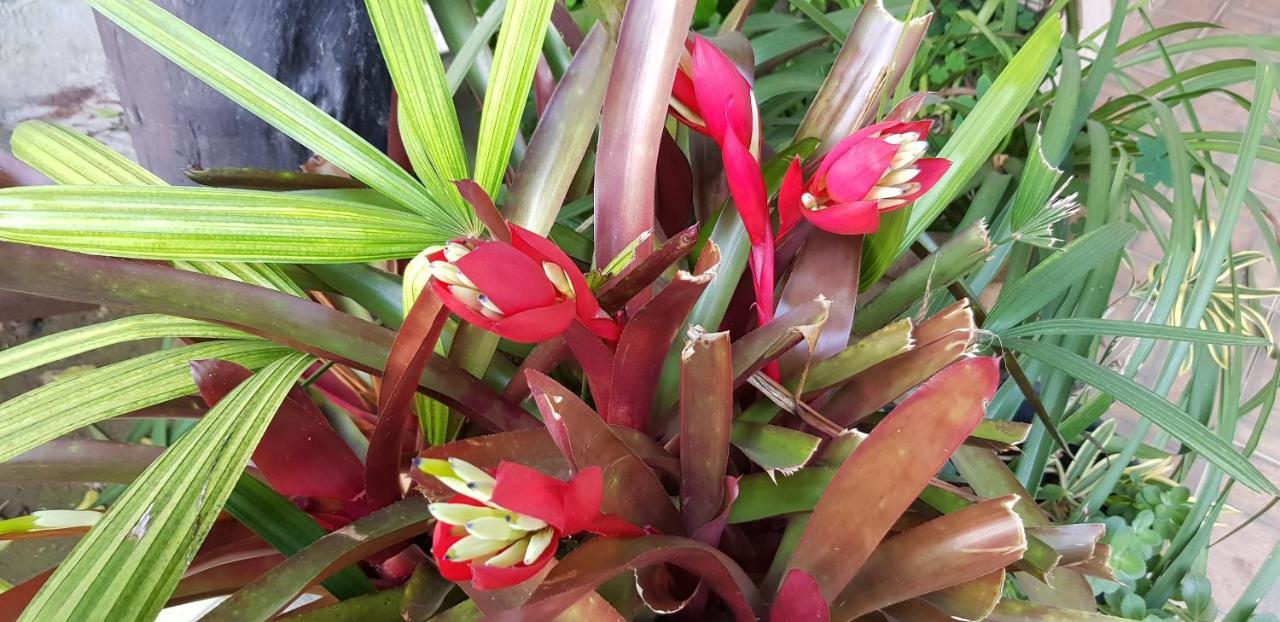 Vale Das Maritacas Teresopolis别墅 外观 照片