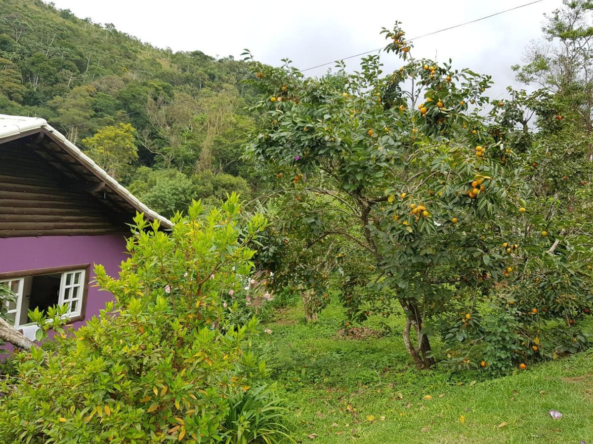 Vale Das Maritacas Teresopolis别墅 外观 照片
